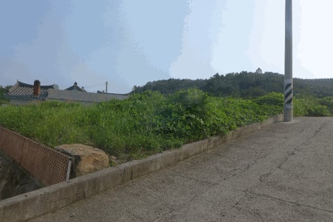 물건 사진 42
