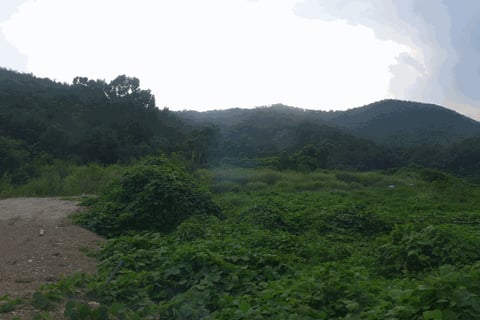 물건 사진 28