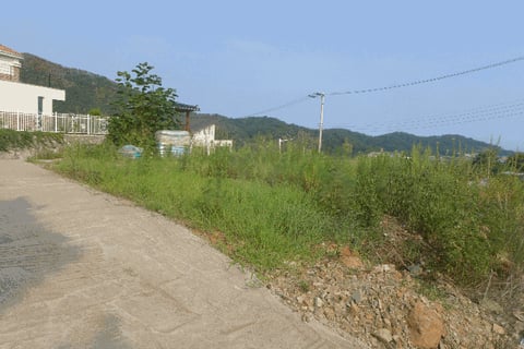물건 사진 48