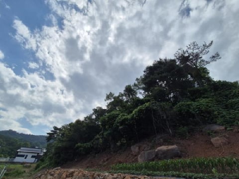 물건 사진 22