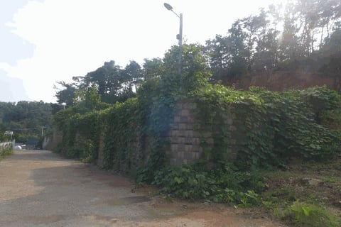 물건 사진 58