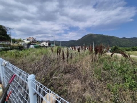 물건 사진 8