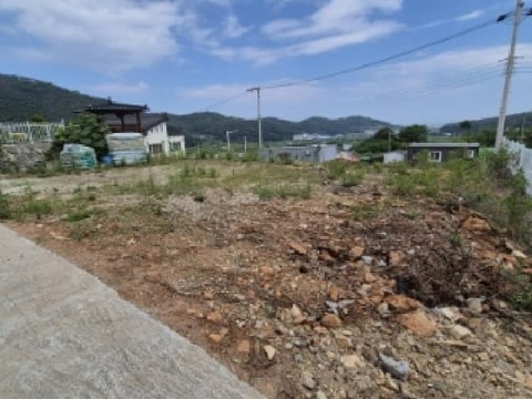 물건 사진 12