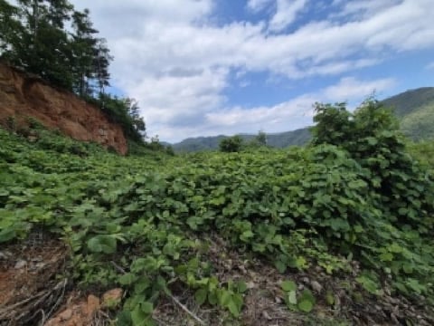 물건 사진 20