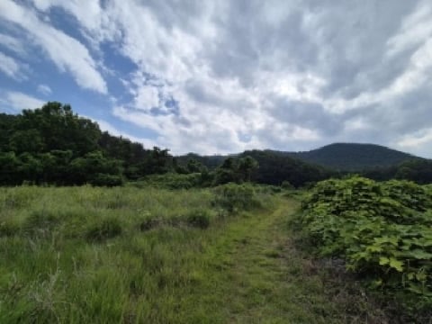 물건 사진 23