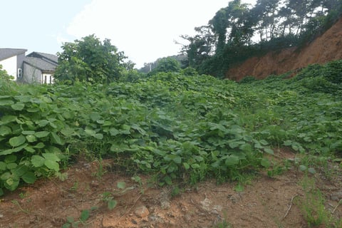 물건 사진 35