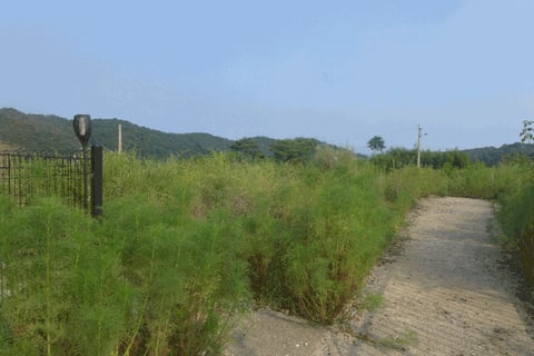 물건 사진 41