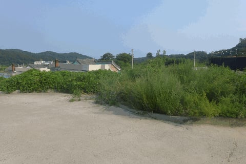 물건 사진 50