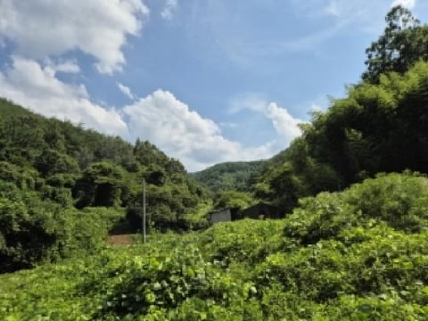 물건 사진 2