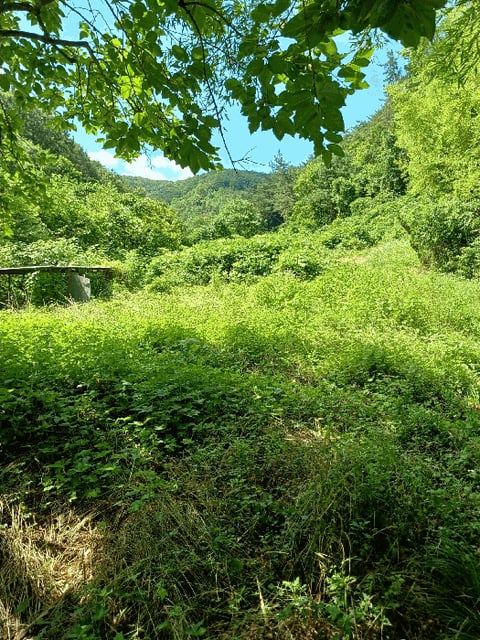 물건 사진 13