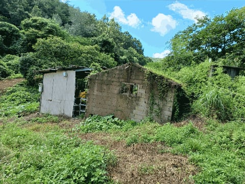 물건 사진 9
