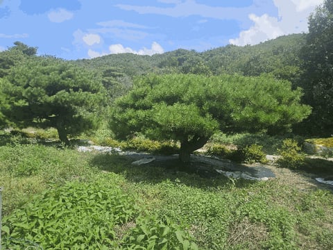 물건 사진 19