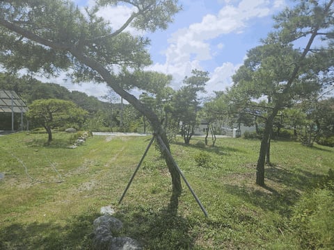 물건 사진 15