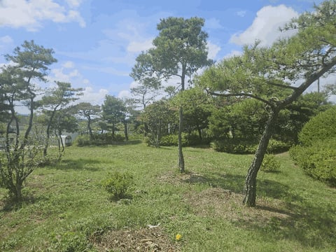 물건 사진 8