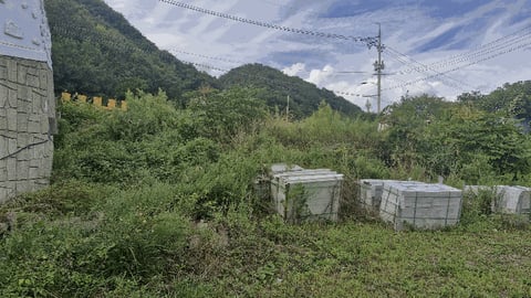 물건 사진 16