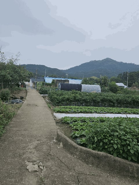 물건 사진 10