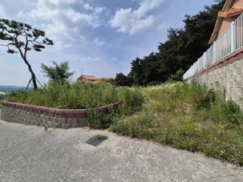 물건 사진 12