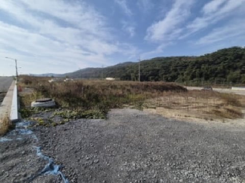 물건 사진 1
