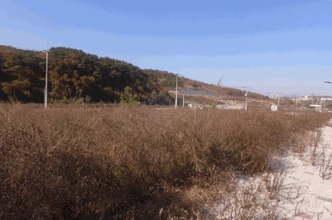 물건 사진 9