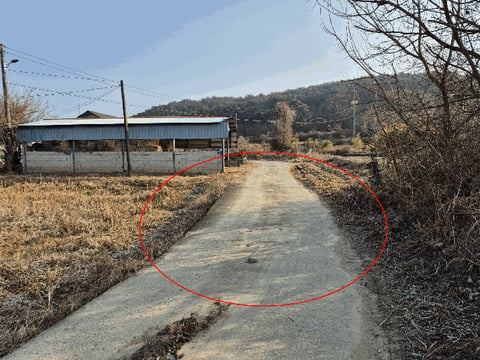 물건 사진 11