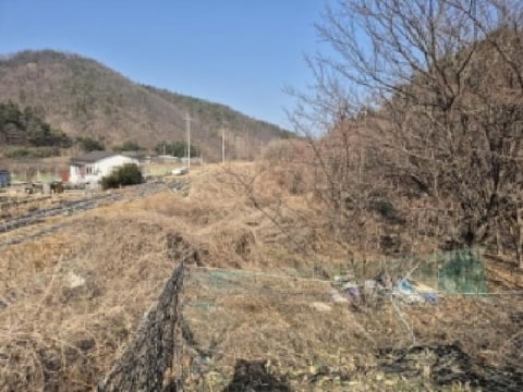 물건 사진 1