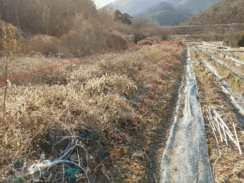 물건 사진 6