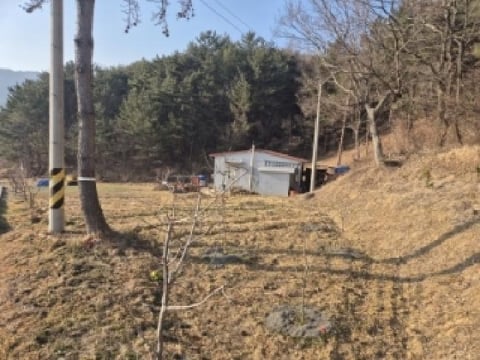 물건 사진 1