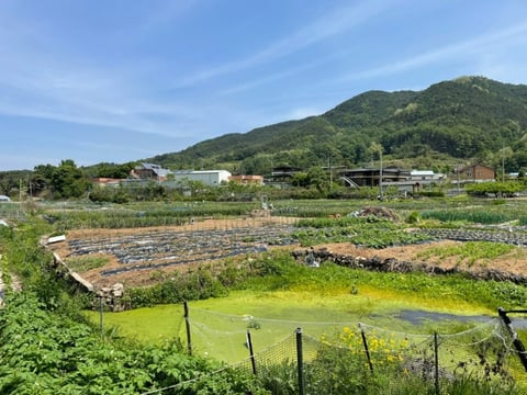 물건 사진 13