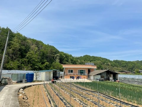 물건 사진 17