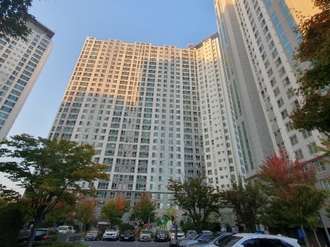 물건 사진 3