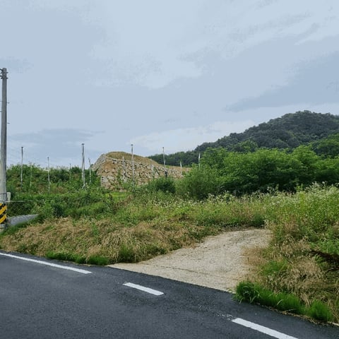 물건 사진 6