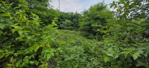 물건 사진 19