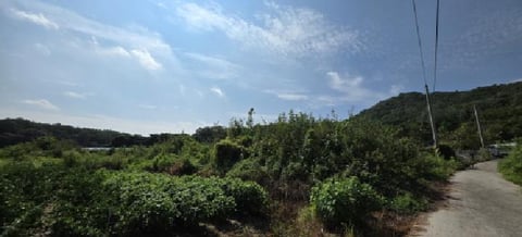 물건 사진 1