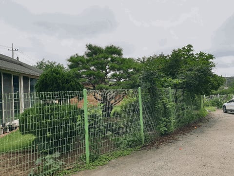 물건 사진 17