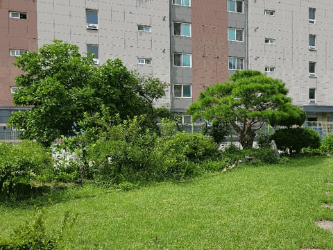 물건 사진 18