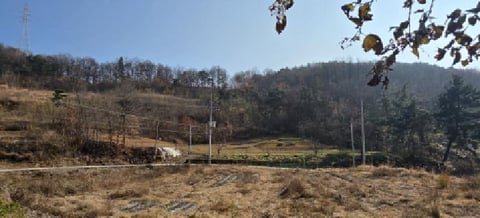 물건 사진 3