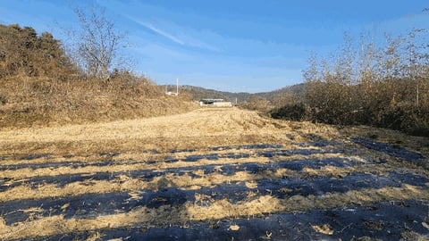 물건 사진 7