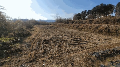 물건 사진 8