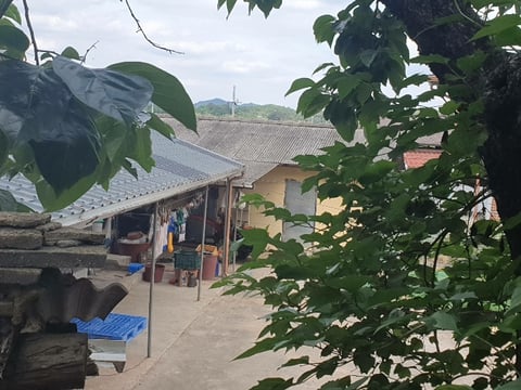 물건 사진 12
