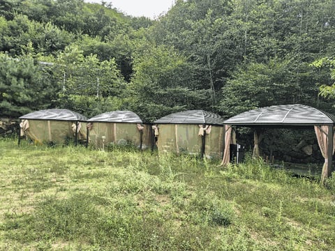 물건 사진 28