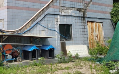 물건 사진 26