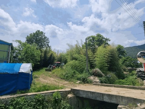 물건 사진 17