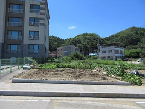 물건 사진 1