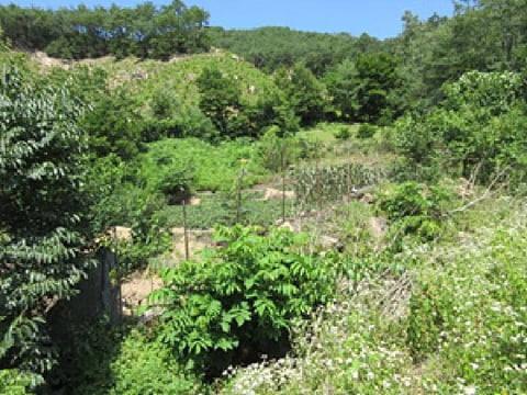 물건 사진 12