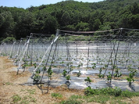 물건 사진 19