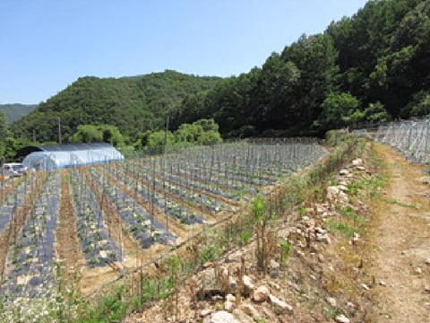 물건 사진 21