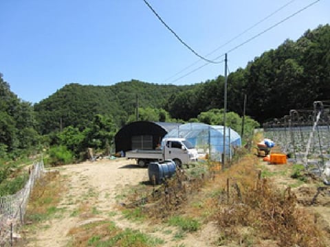 물건 사진 22