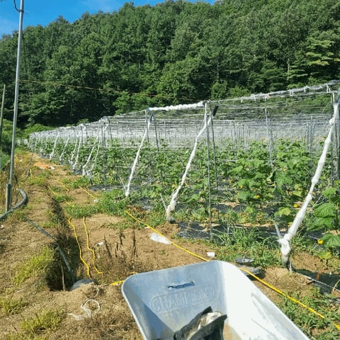 물건 사진 27