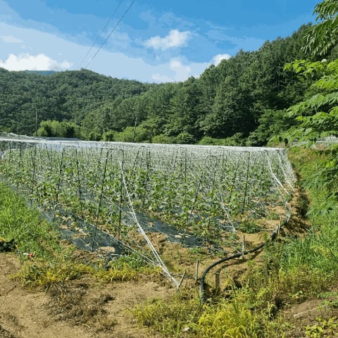 물건 사진 29
