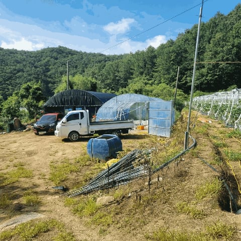 물건 사진 30